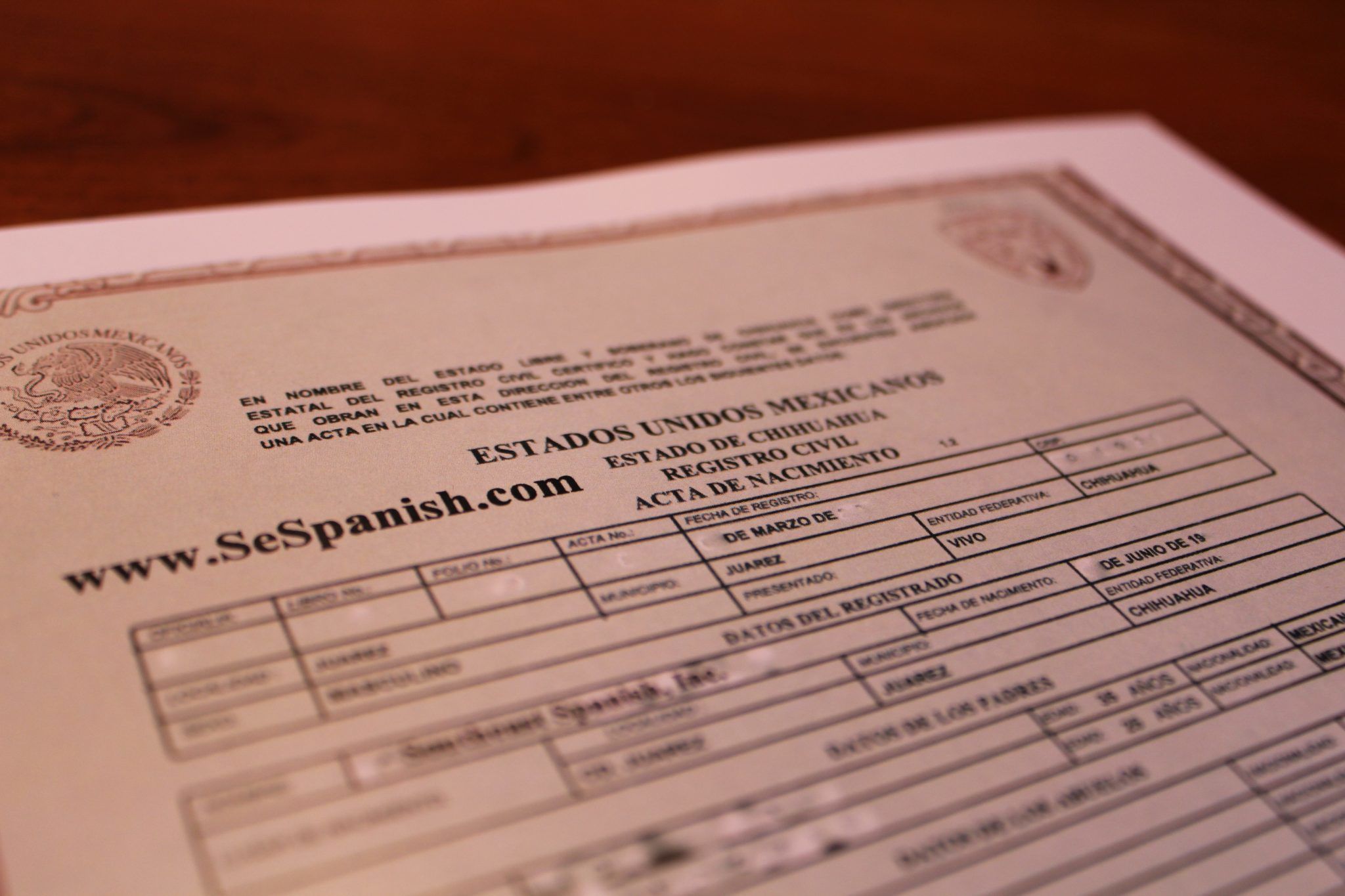 Birth Certificate Translation Southeast Spanish Inc 