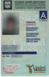 Driver's License Translation and Certification | 24 Hours or Less